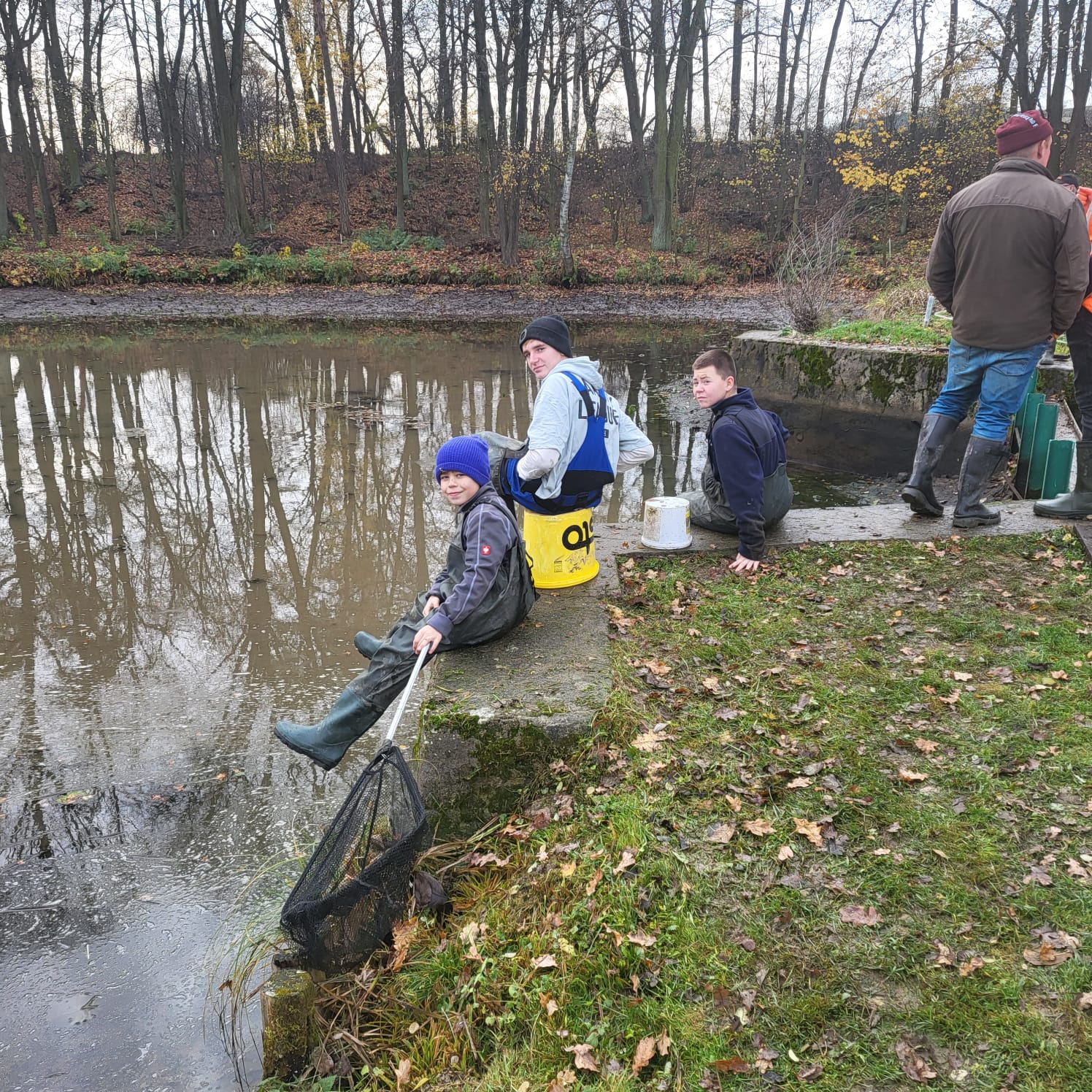 Połów karpi — dorośli