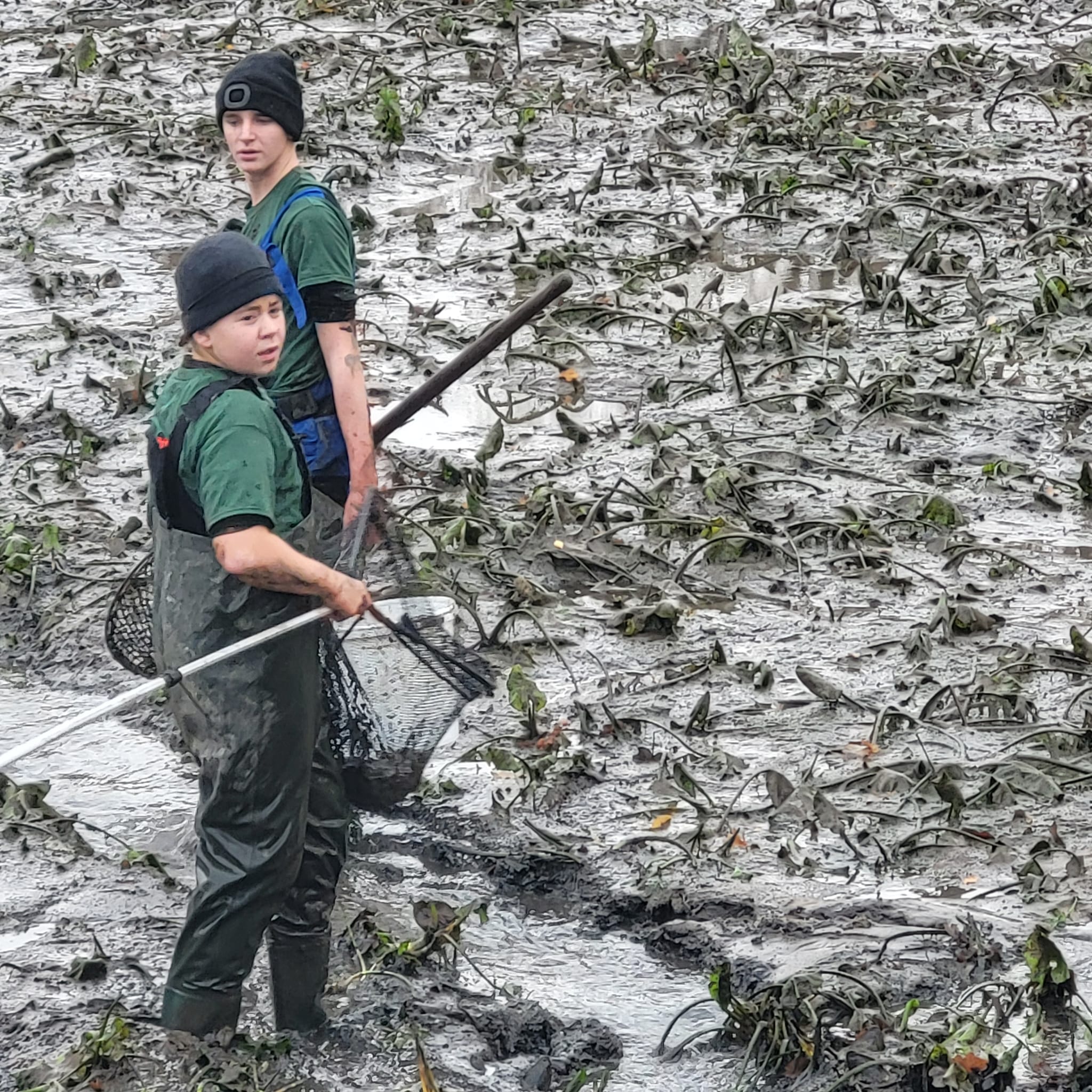 Chłopcy łowią karpie