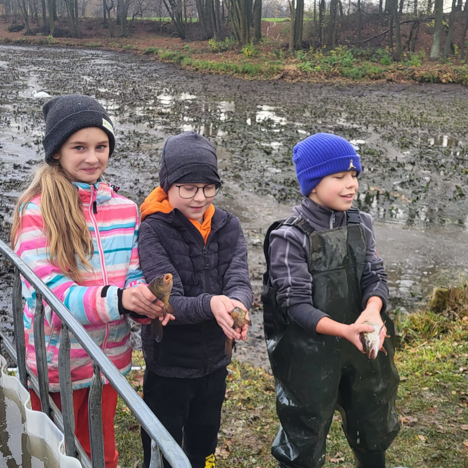 Agroturystyka — zachód słońca w Sternalicach